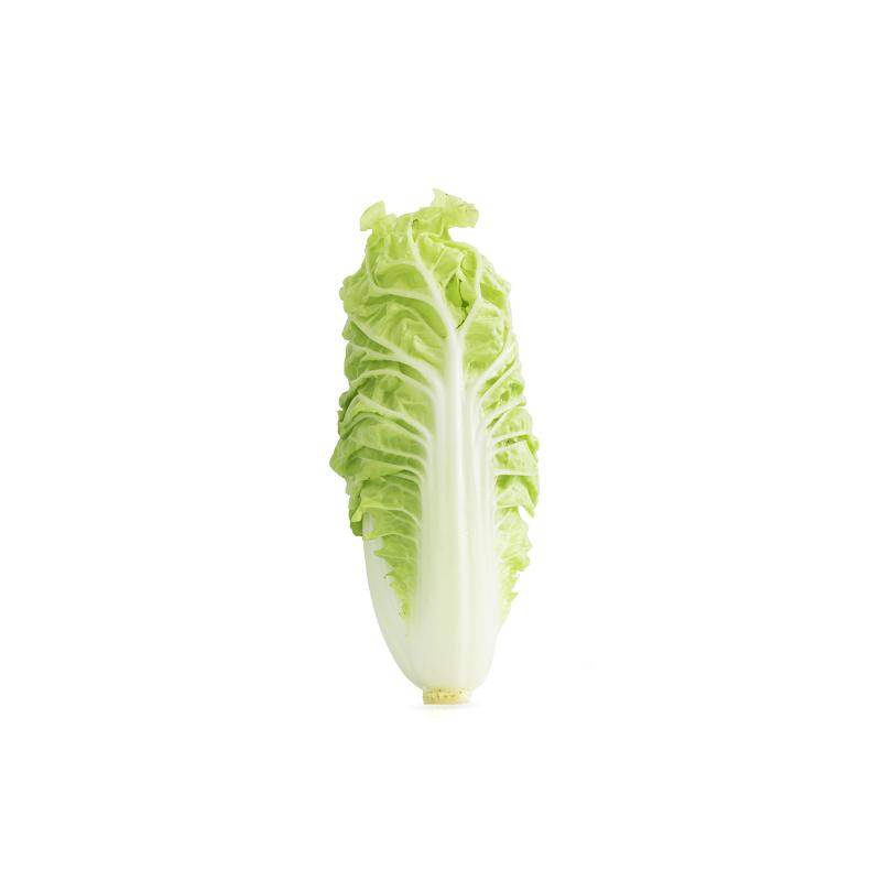 Long Cabbage Vegetable | Long Cabbage | Market Boy