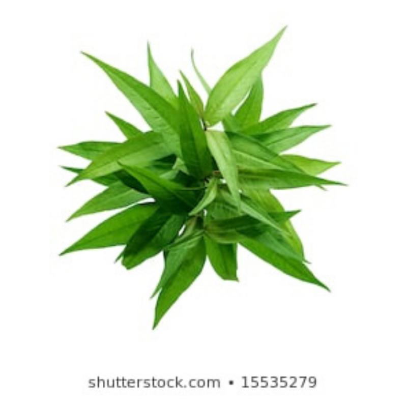 Laksa Leaf (100g) - Market Boy