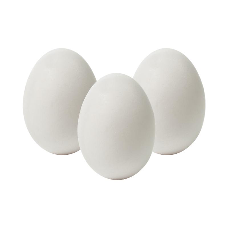 White Shell Eggs (10pcs) - Market Boy