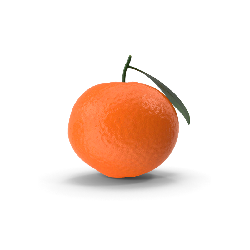 Tangerines - South Africa (500 gm) - Market Boy