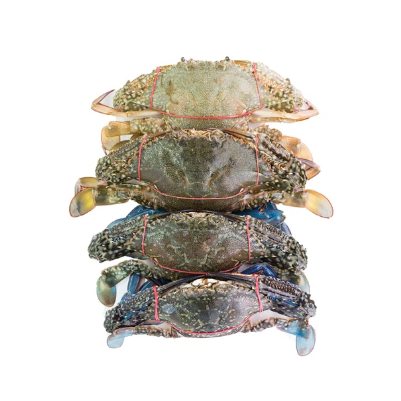 Flower Crab (~500g, 1-2 pieces) - Market Boy