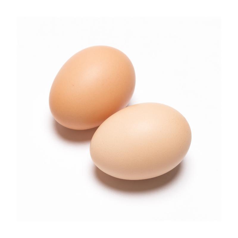 Fresh Eggs (10pcs) - Market Boy