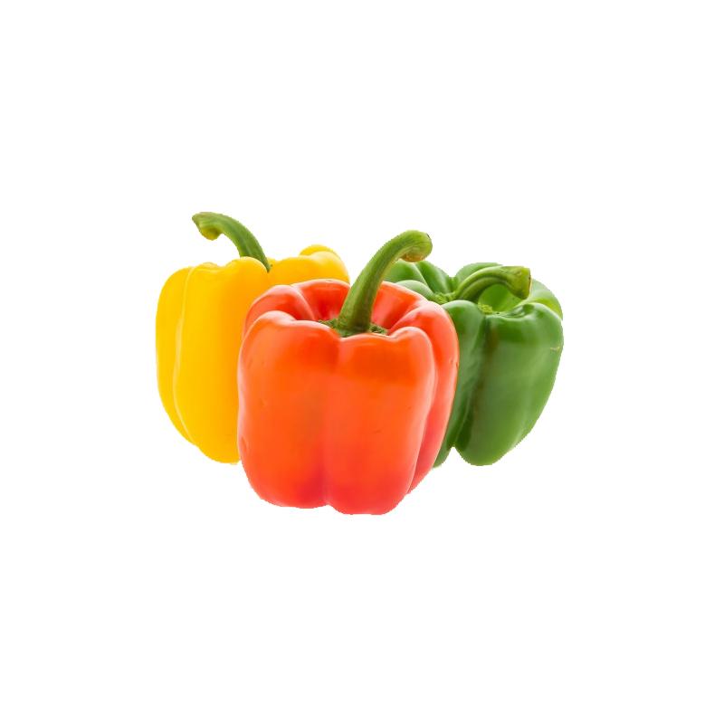 Green/Red/Yellow Pepper (1pc) - Market Boy