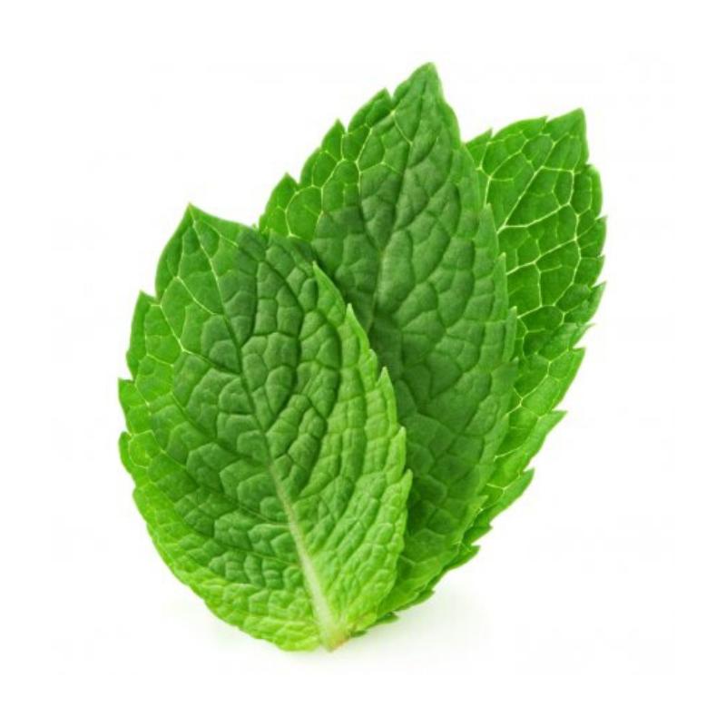 Mint Leaf (100g) - Market Boy